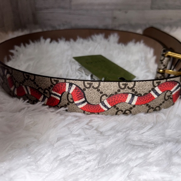 Gucci x Supreme Kingsnake Brown Belt - Picture 7 of 8